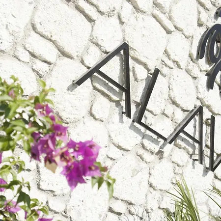 Alavya
