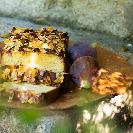 Alavya 2* אלאקאטי