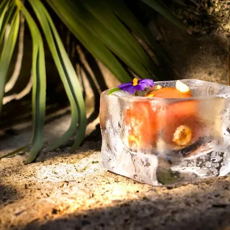 Alavya אלאקאטי