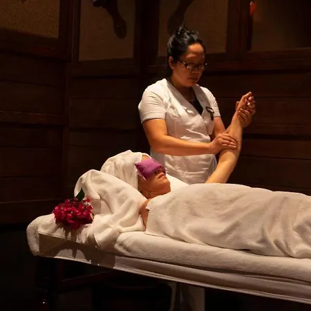 奥拉夫亚酒店 2* 阿拉恰特