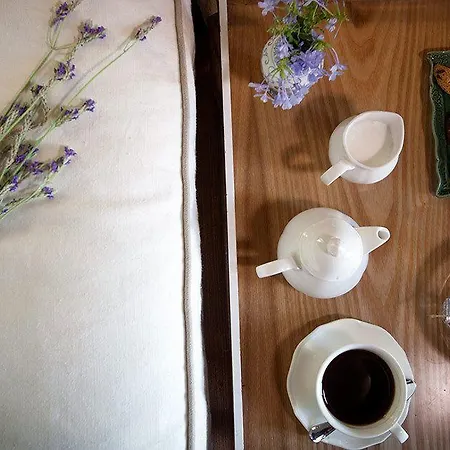 酒店 奥拉夫亚酒店 2*