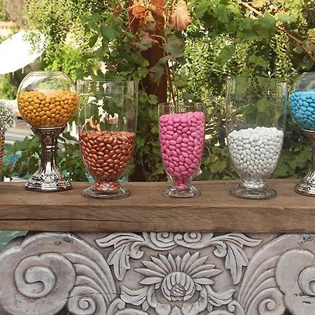 奥拉夫亚酒店 酒店 阿拉恰特